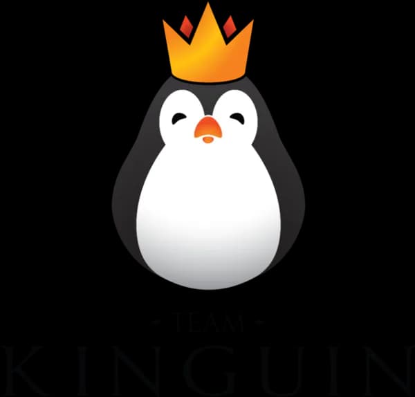Team Kinguin: Wzloty i upadki polskiej legendy e-sportu