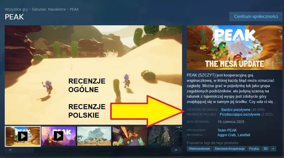 Mistrzowska recenzja gry na Steam: Skuteczne porady, które zachwyca graczy