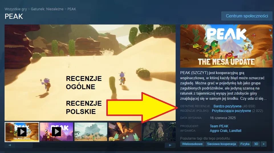 Mistrzowska recenzja gry na Steam: Skuteczne porady, które zachwyca graczy